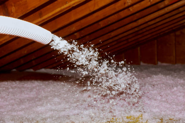 Best Fiberglass Insulation in La Cygne, KS